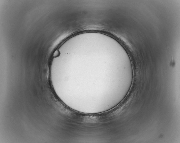 X0000091521317200709141407