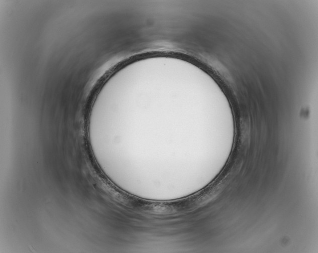 X0000091521318200709141407