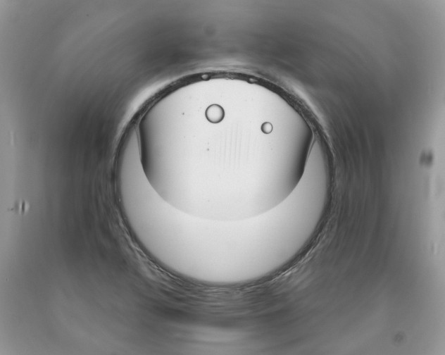 X0000091521320200709141407