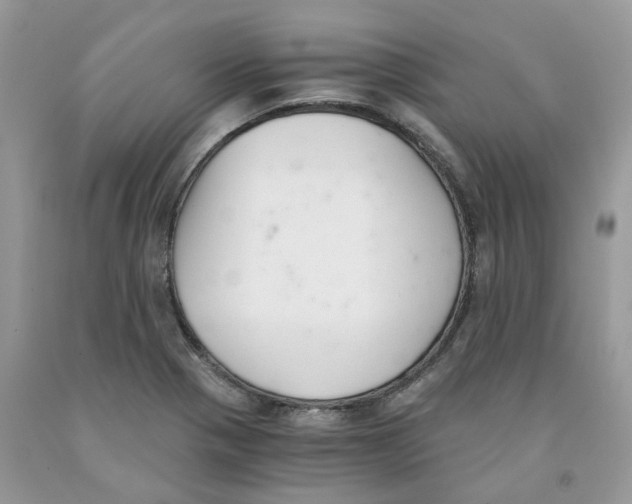 X0000091521321200709141407