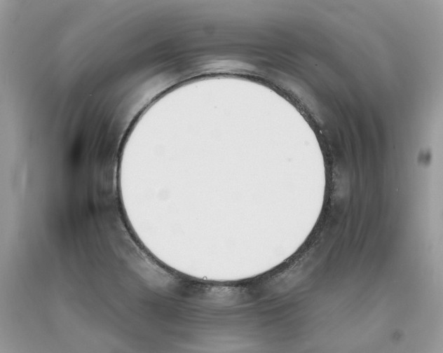 X0000091521322200709141407