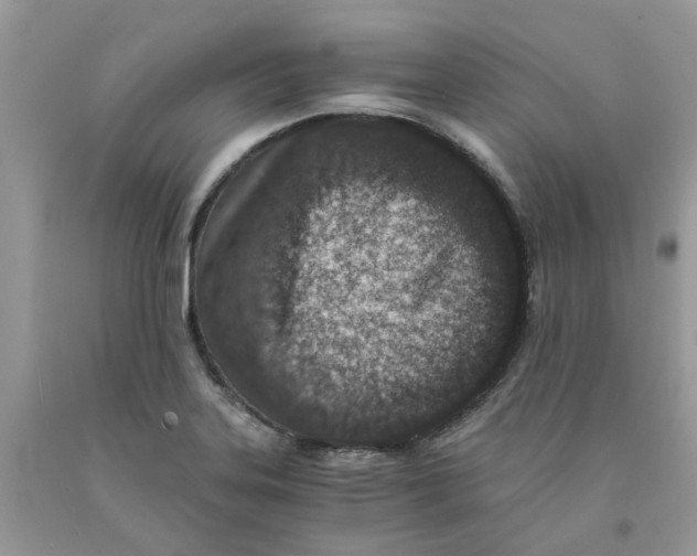 X0000091521323200709141407