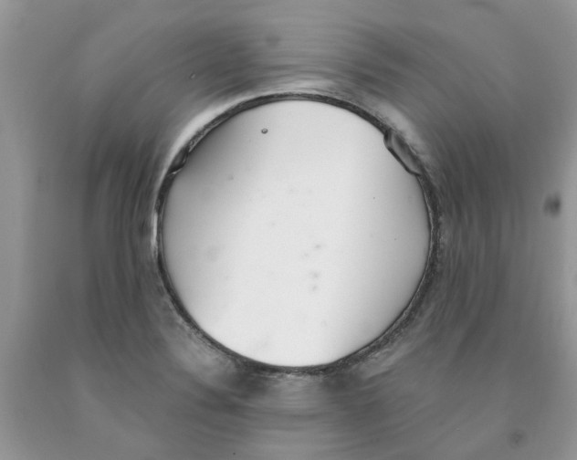 X0000091521324200709141407