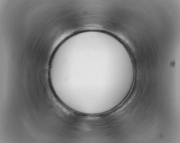 X0000091521325200709141407