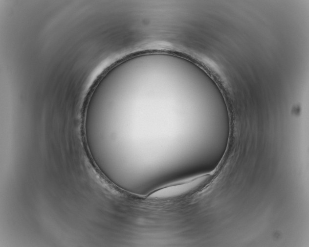 X0000091521326200709141407