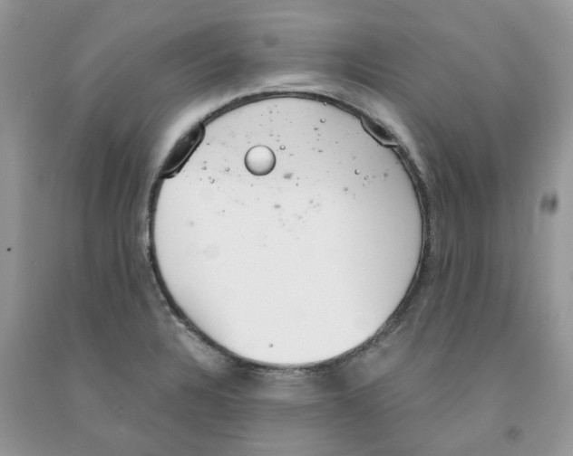 X0000091521328200709141407