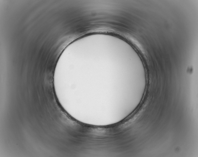 X0000091521329200709141407