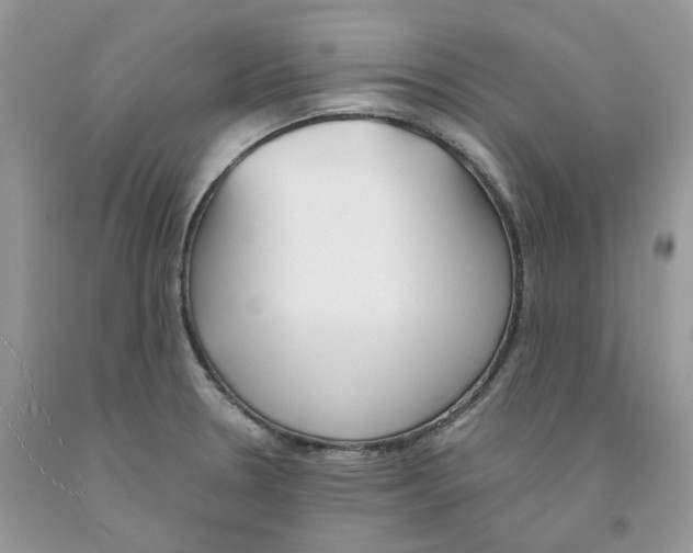 X0000091521330200709141407