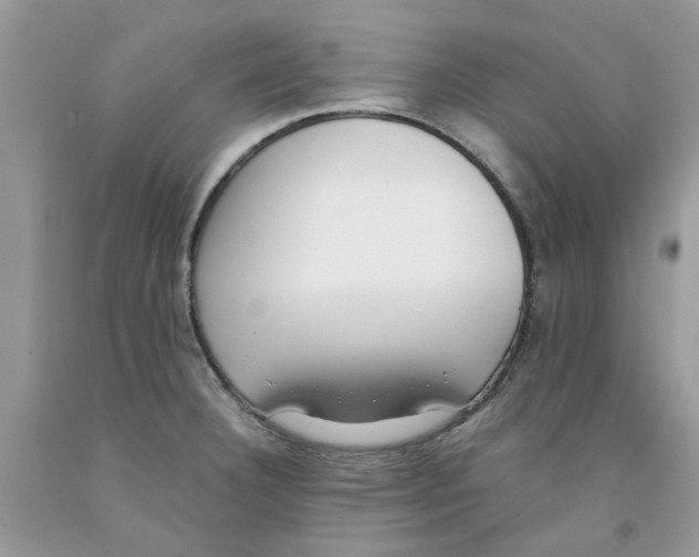 X0000091521332200709141407