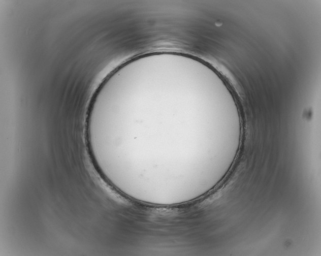 X0000091521333200709141407