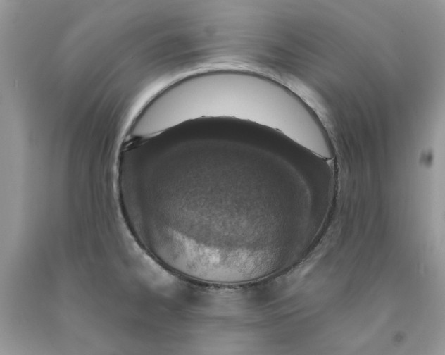 X0000091521334200709141407