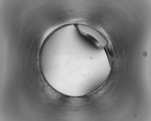 X0000091521336200709141407