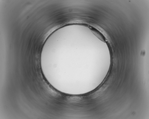 X0000091521337200709141407