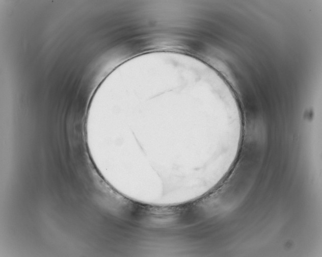 X0000091521338200709141407