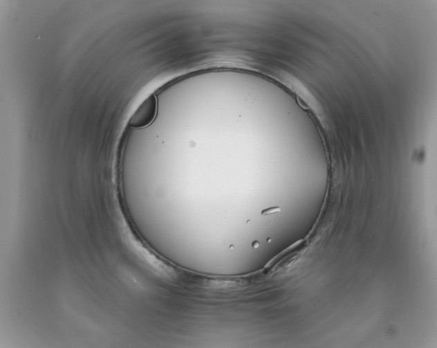 X0000091521339200709141407