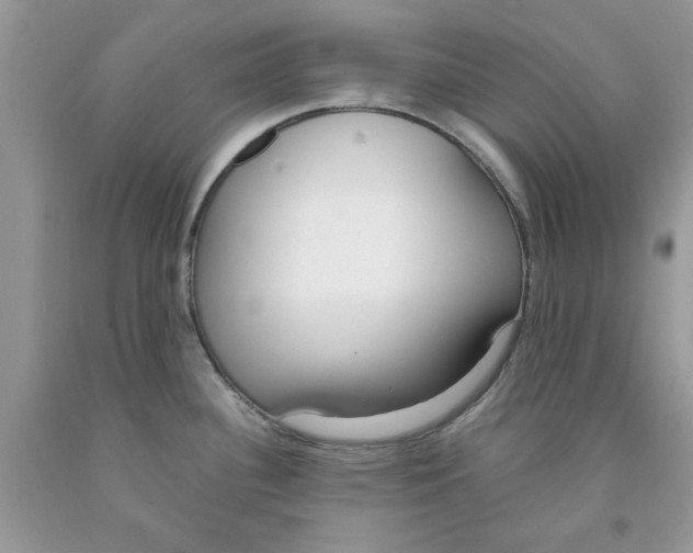 X0000091521340200709141407