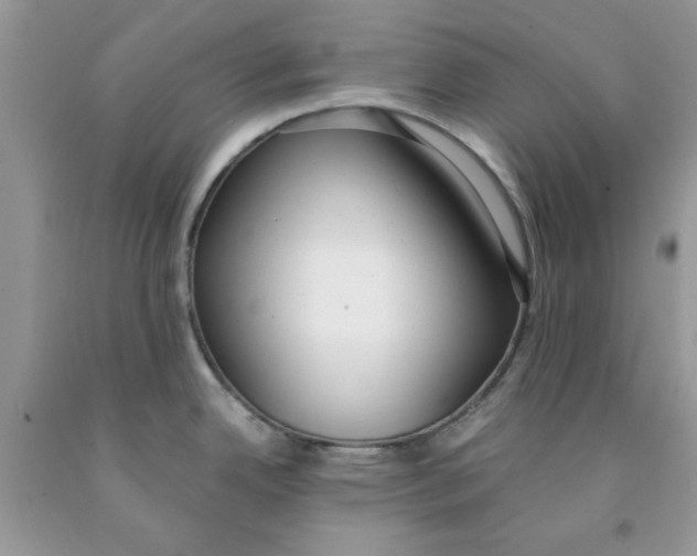 X0000091521342200709141407