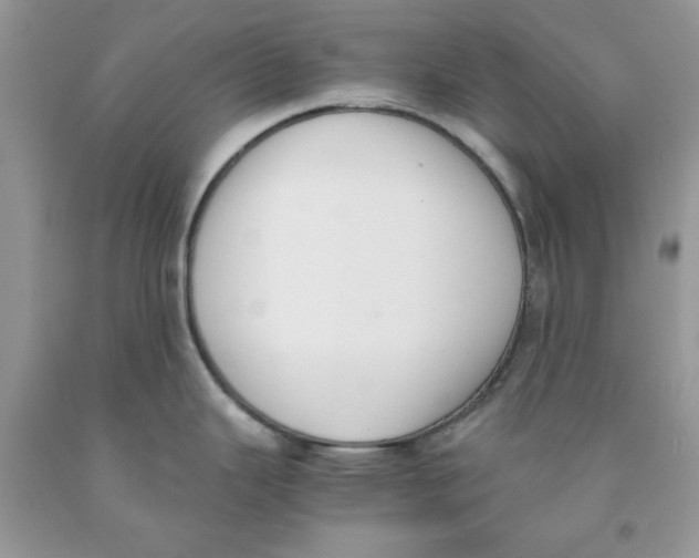 X0000091521343200709141407