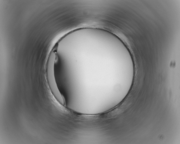 X0000091521344200709141407