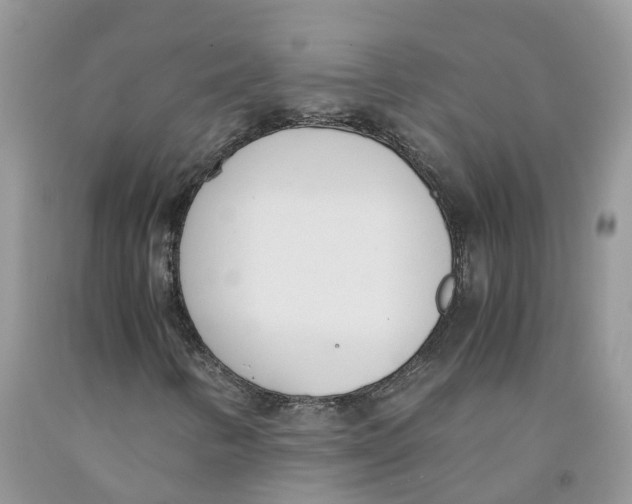 X0000091521346200709141407