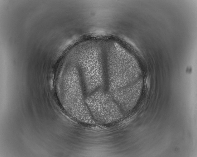 X0000091521348200709141407