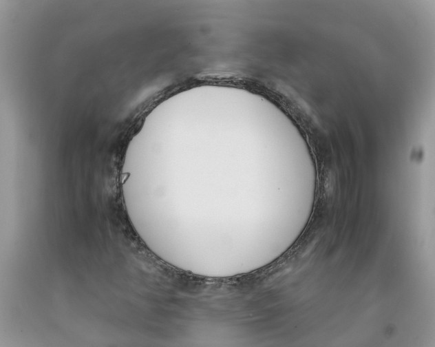 X0000091521350200709141407