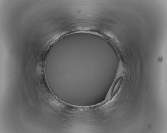 X0000091521353200709141407