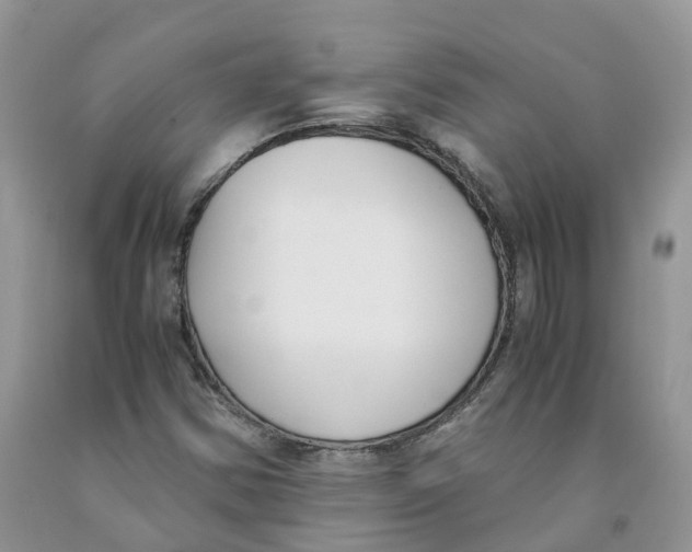 X0000091521354200709141407