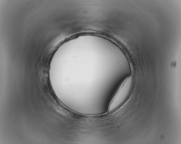 X0000091521355200709141407