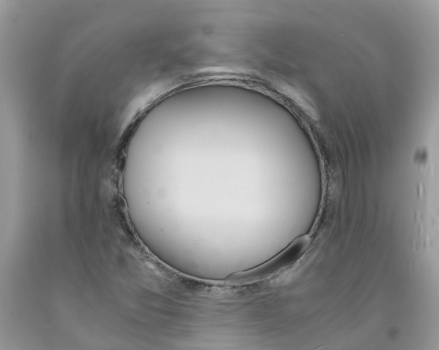 X0000091521357200709141406