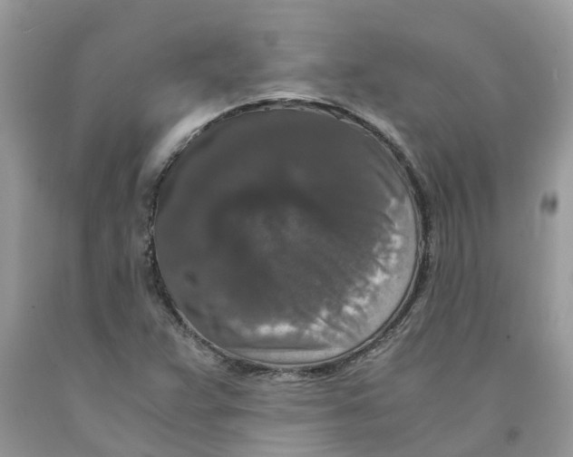 X0000091521359200709141406