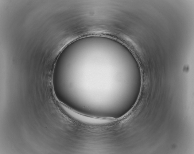 X0000091521361200709141406