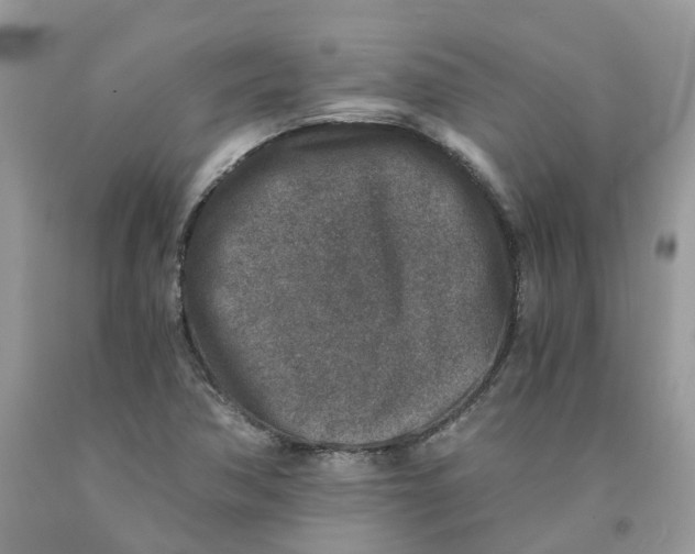 X0000091521362200709141406