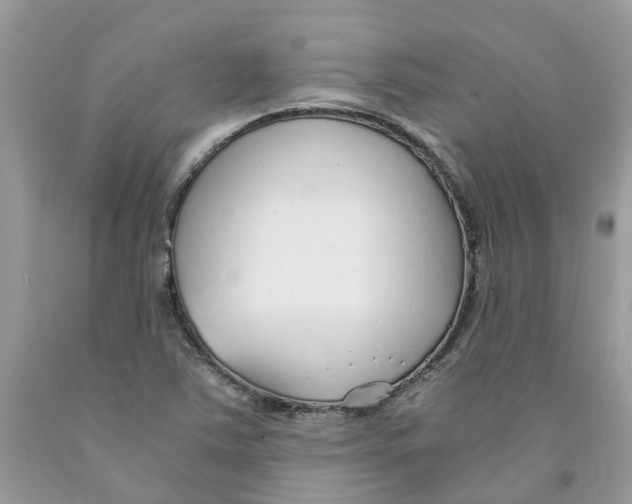 X0000091521363200709141406