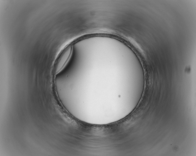 X0000091521364200709141406