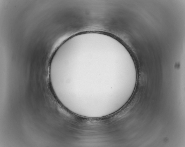 X0000091521366200709141406