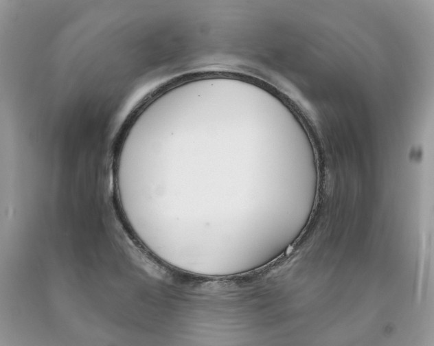 X0000091521368200709141406