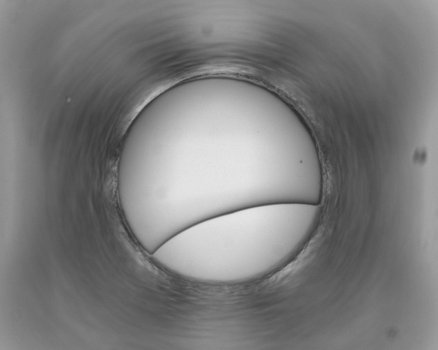 X0000091521369200709141406