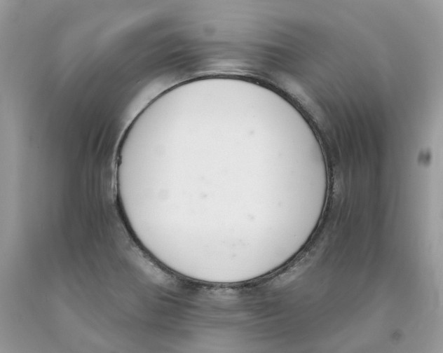 X0000091521370200709141406