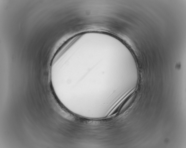 X0000091521371200709141406