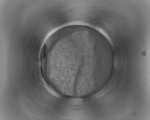 X0000091521372200709141406