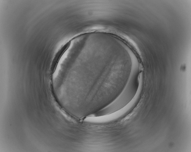 X0000091521373200709141406