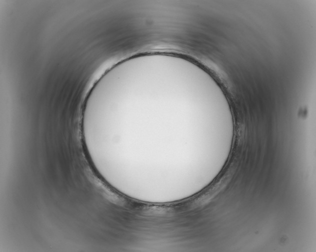 X0000091521374200709141406