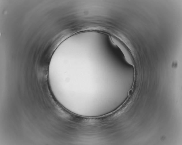 X0000091521377200709141406