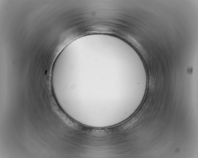 X0000091521378200709141406