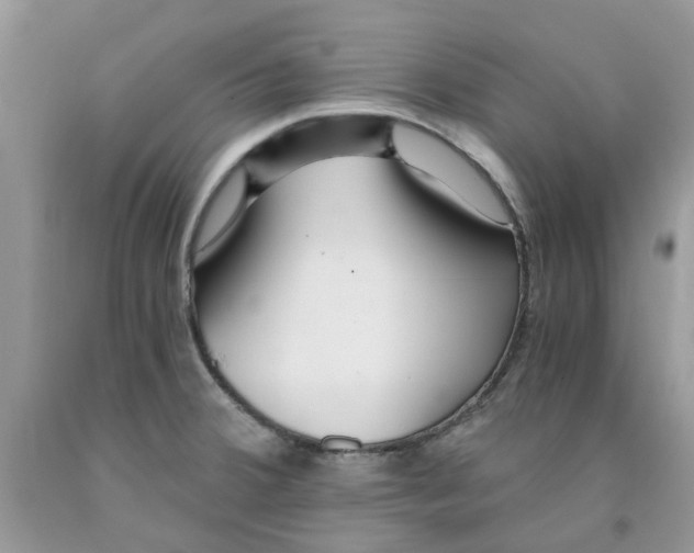 X0000091521380200709141406