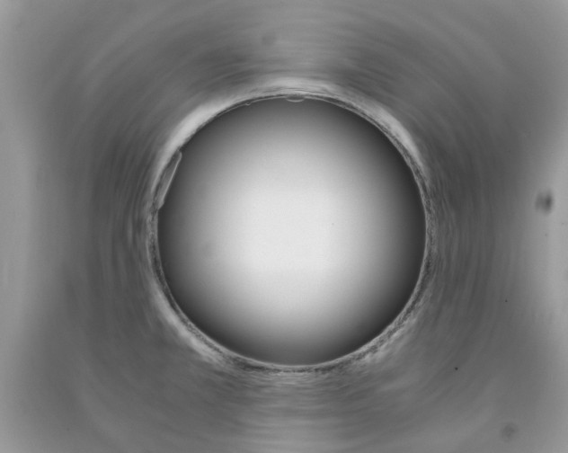 X0000091521381200709141406