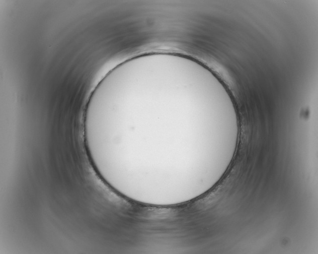 X0000091521382200709141406