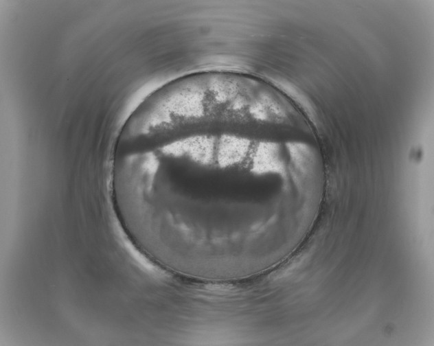 X0000091521383200709141406