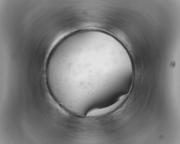 X0000091521384200709141406